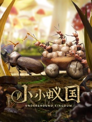 小小蚁国（The Ants ）500 Ant Coin